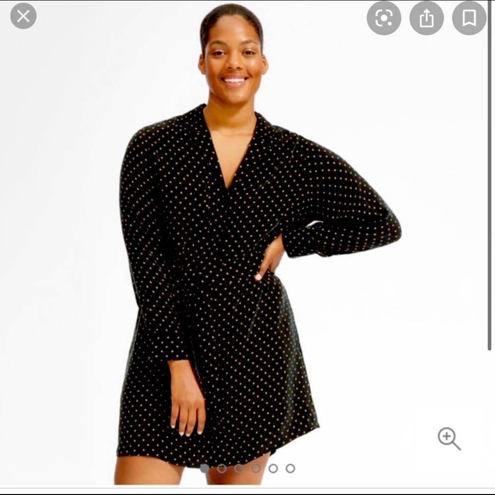 Everlane Silk Shirt Dress